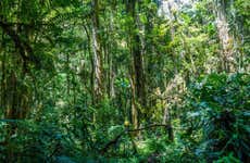Entreaguas Natural Reserve Day Trip