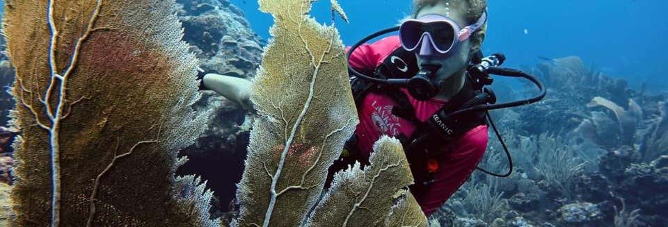 Immersione per principianti a Isla Fuerte