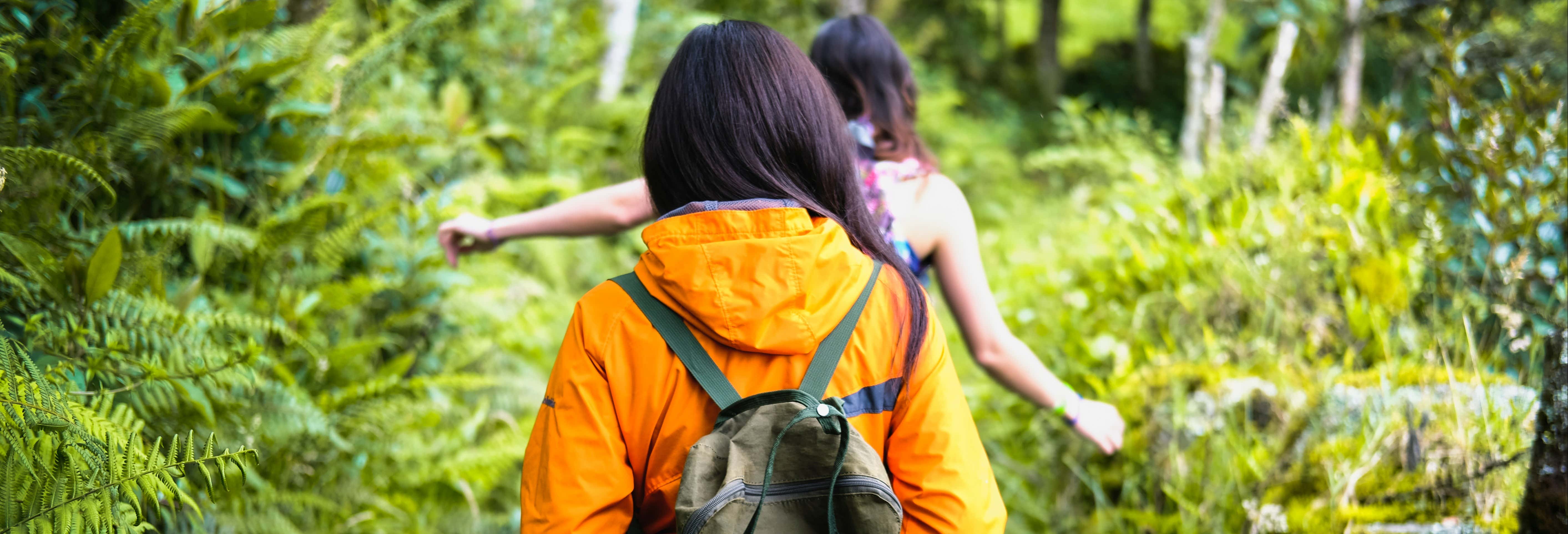 Escursione ai sentieri di La Herrera e Serranías