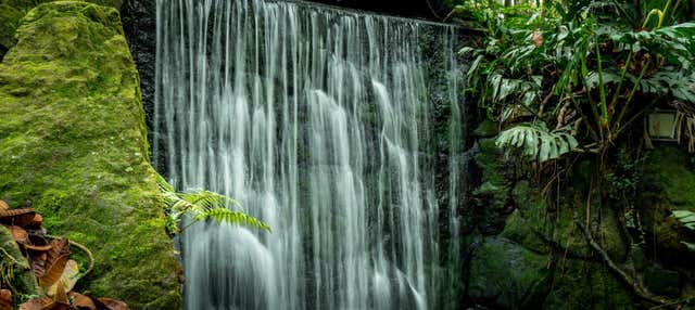 Trekking alle cascate di Jardín