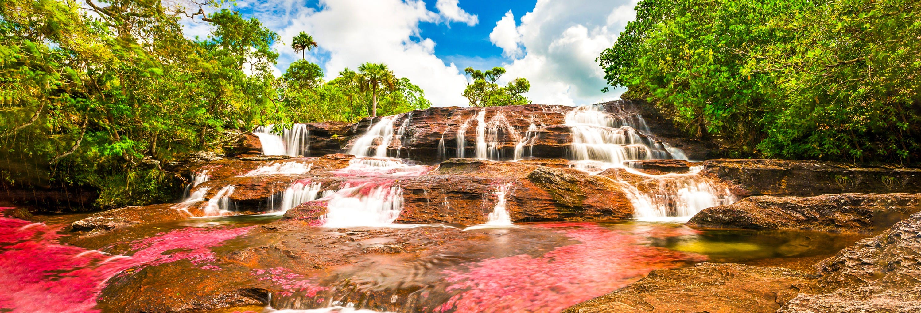 Caño Cristales Excursion