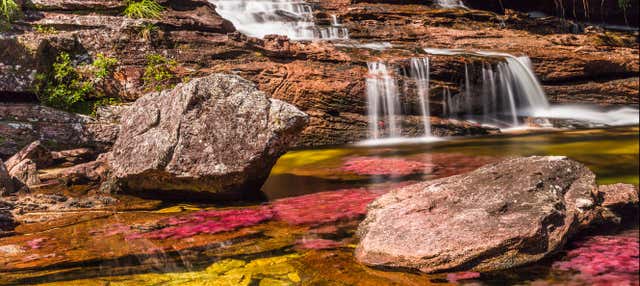 Tour de 3, 4 o 5 días por Caño Cristales y Sierra de La Macarena