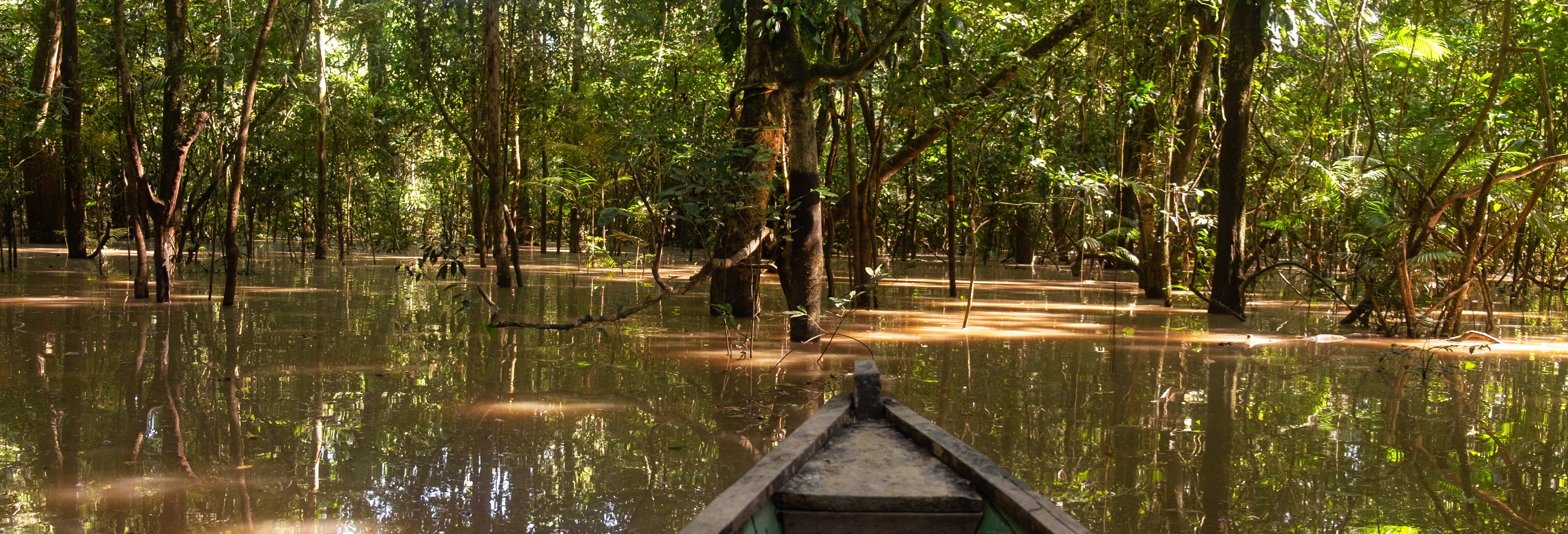 Colombian Amazon 2-Day Tour