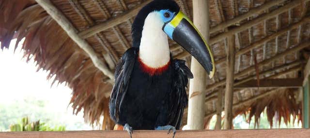 Escursione di 2 giorni alla Reserva Naturale Marasha