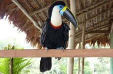 Excursión de 2 días a la Reserva Natural Marasha