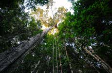 Excursión a la Reserva Natura Park