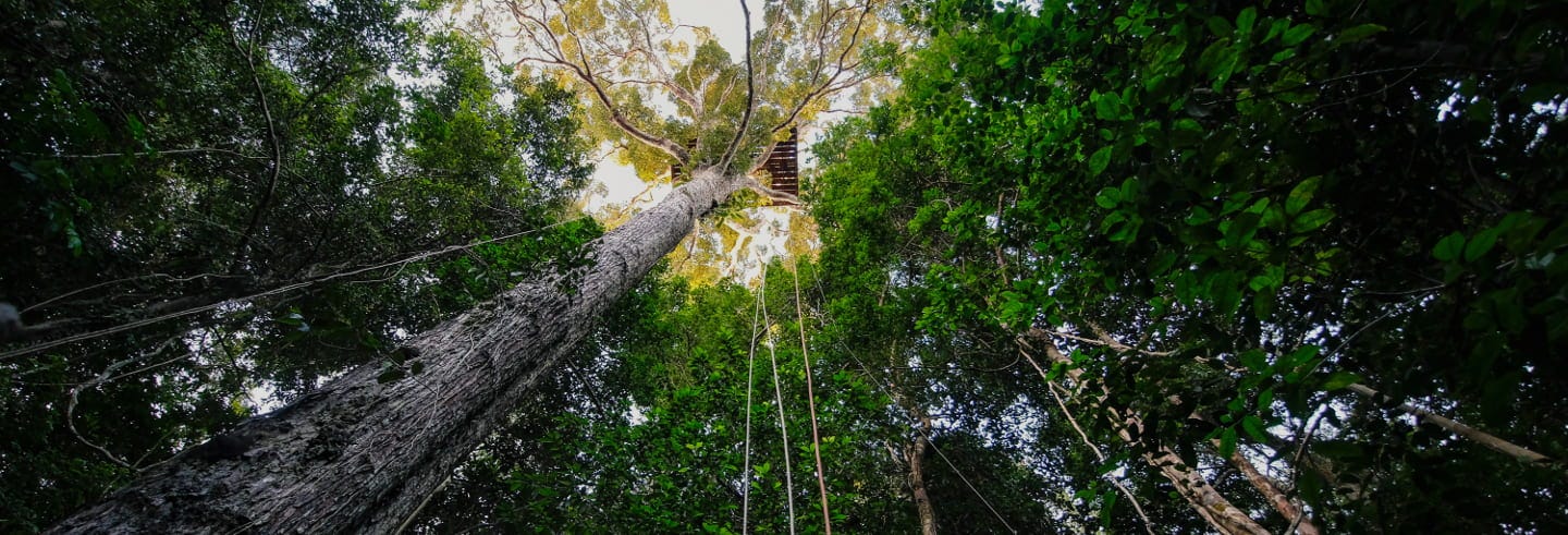 Reserva Natura Park Day Trip