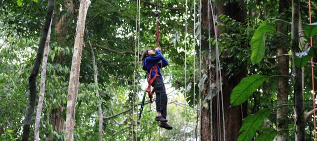 Notte nella Riserva Naturale Tanimboca