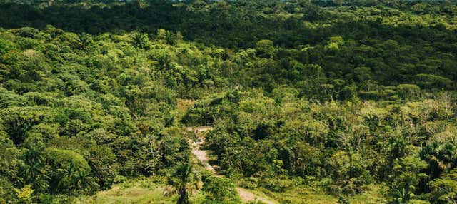 Trekking nella foresta amazzonica