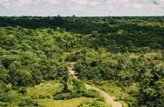 Senderismo por la selva amazónica