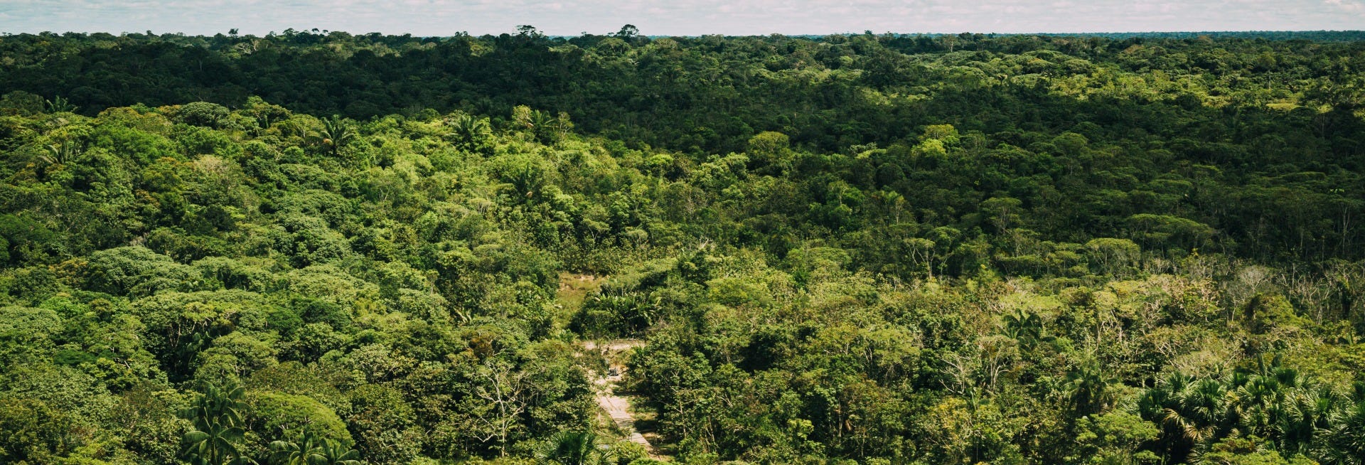 Amazon Hiking Tour