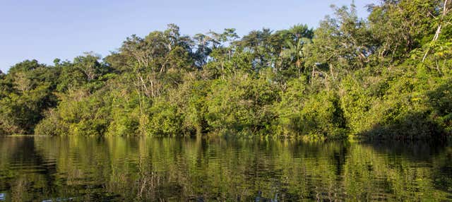 Escursione nella selva amazzonica