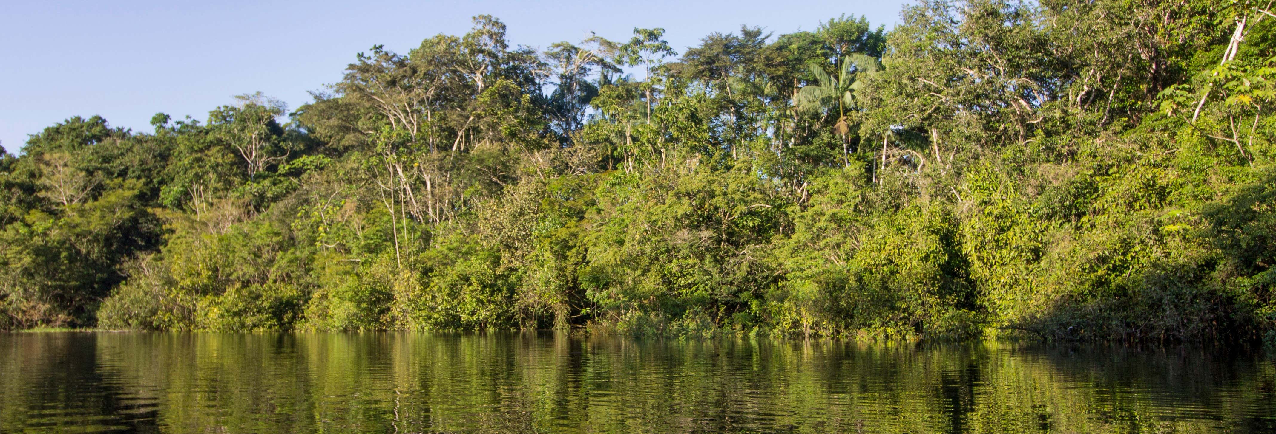 Escursione nella selva amazzonica
