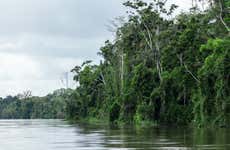 Tour de 3 días por la selva amazónica