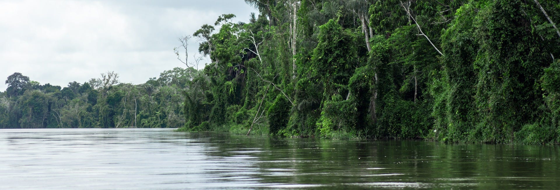 3-Day Amazon Rainforest Tour