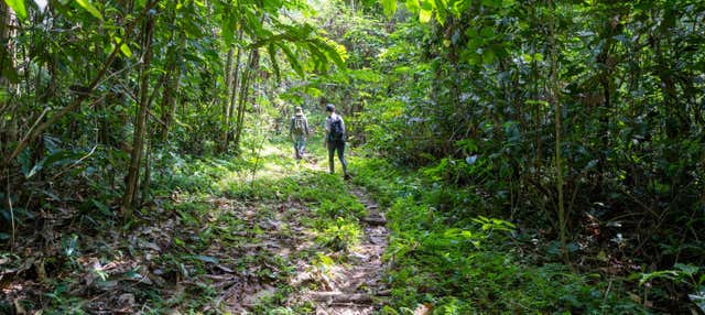 Escursione alla foresta amazzonica e al fiume Takana