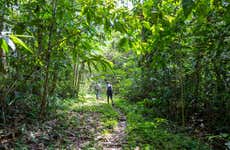Tour pela floresta amazônica e o rio Takana