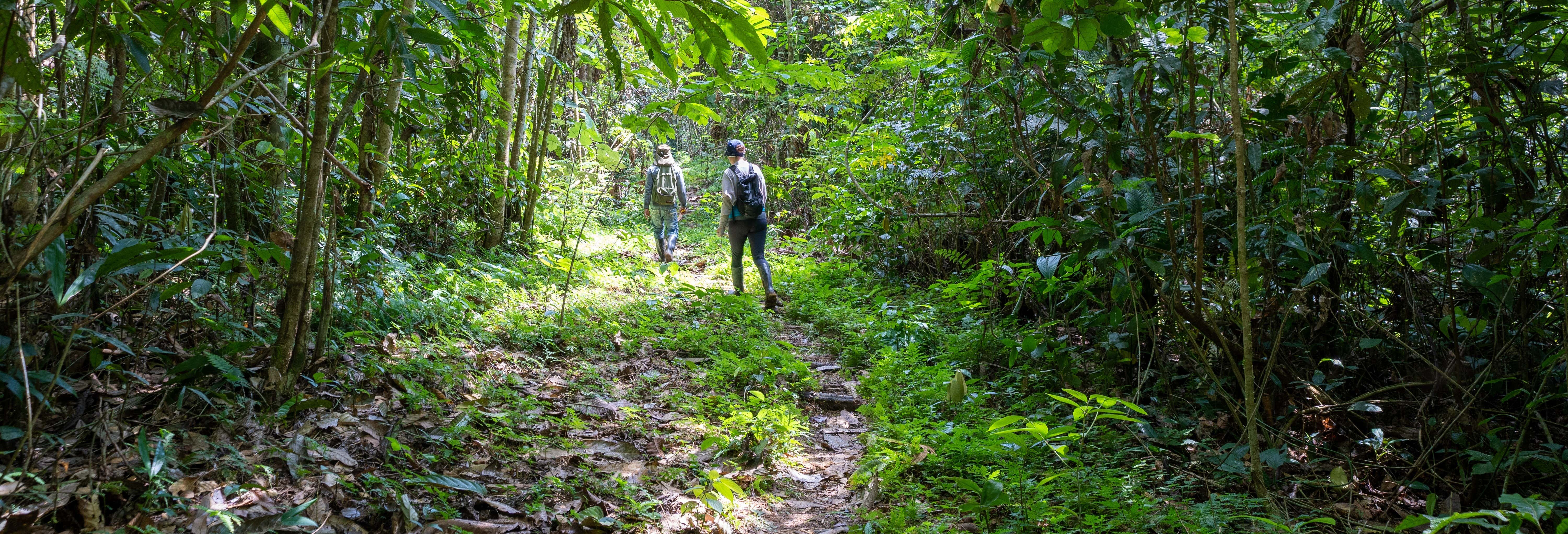 Escursione alla foresta amazzonica e al fiume Takana