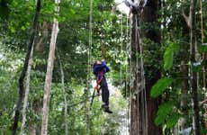 Escalada de árboles en el Amazonas
