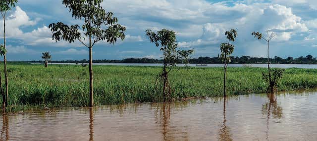 Tour privato di Leticia