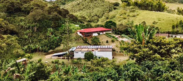 Excursão privada à fazenda La Mina