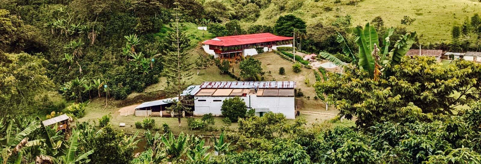 Excursión privada a la finca La Mina
