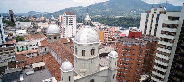 Escursione a Pereira + Visita di una tenuta di banane