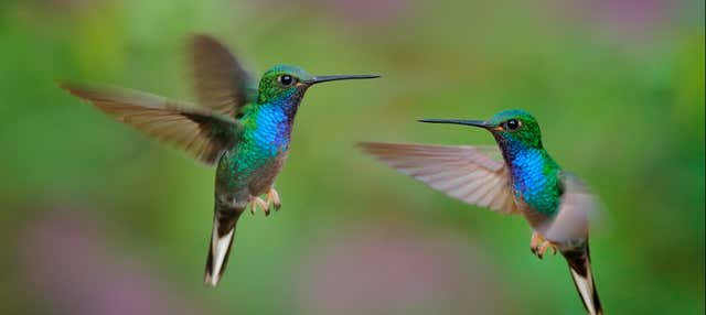 Visita all'ecoparco Recinto del Pensamiento
