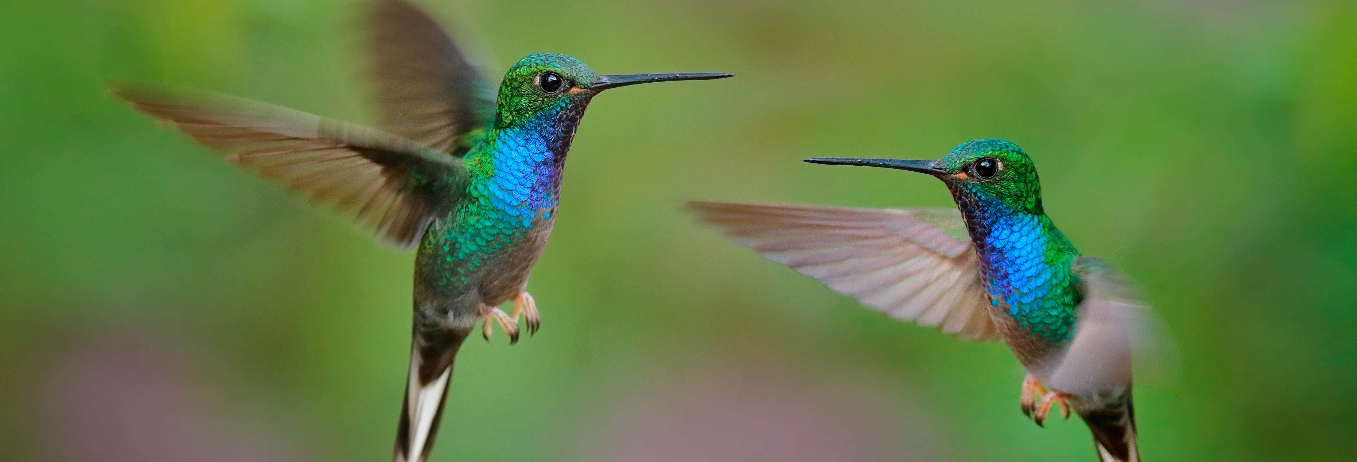 Visita all'ecoparco Recinto del Pensamiento