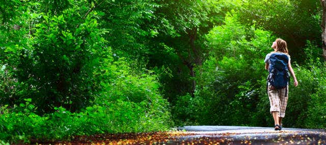 Excursão ao Parque Arví
