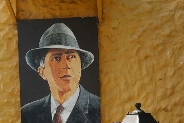 Imagen 5