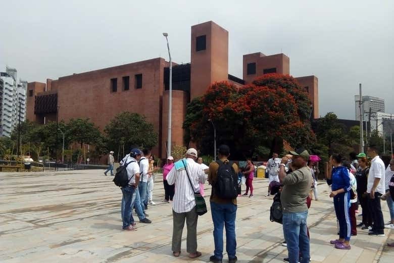Imagen 6