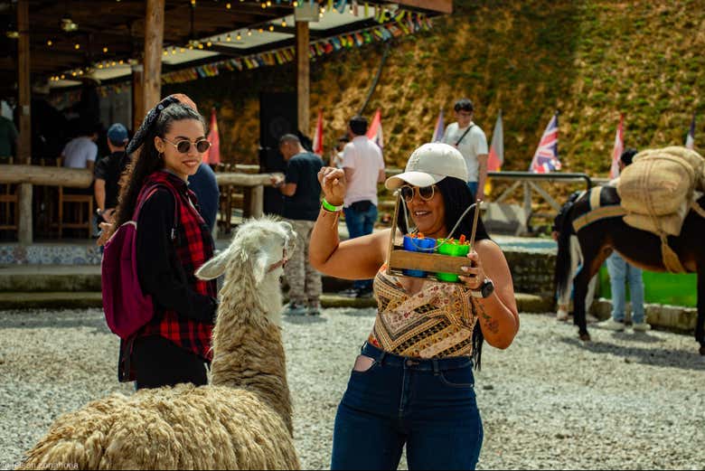 Ver más fotos