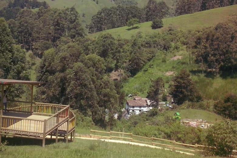 Imagen 7
