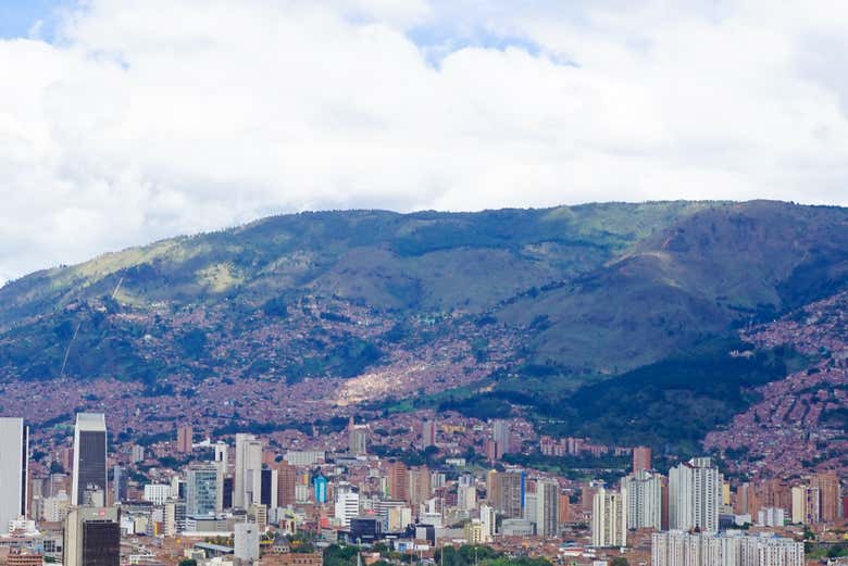Imagen 6