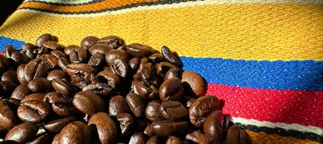 Tour del café por la finca De Arrieros