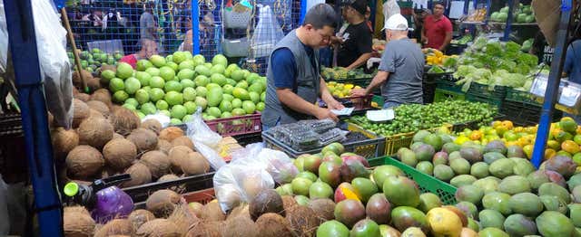 Visite à la découverte des fruits colombiens à Medellín