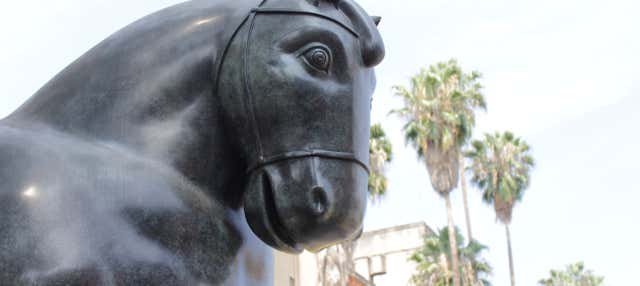 Tour dei musei di Medellín