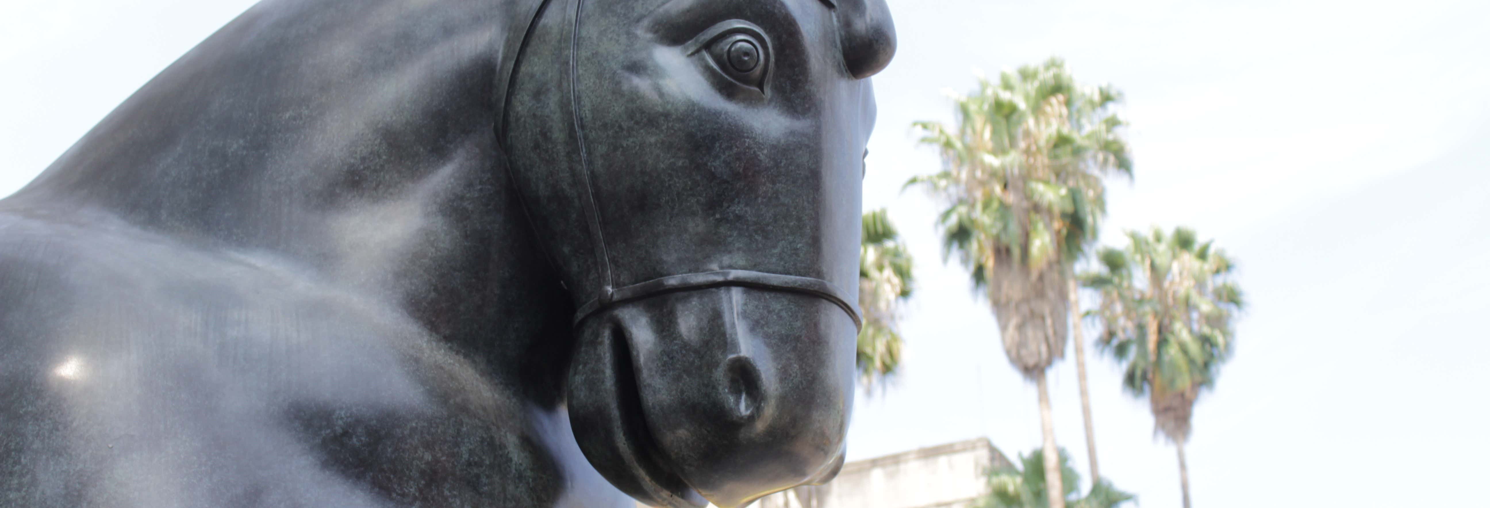 Tour dei musei di Medellín