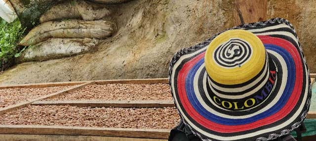 Visita a una finca de café en el barrio La Sierra