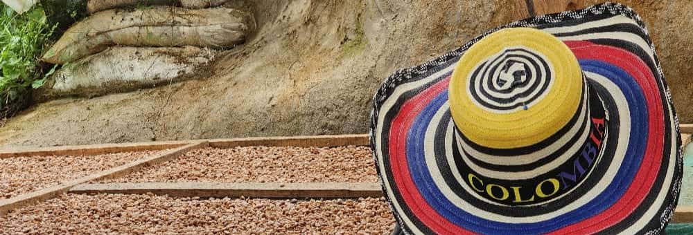 Coffee Farm Tour in La Sierra Neighborhood