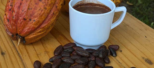 Laboratorio sul cacao nella Casa Jocolate Minca
