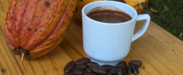Taller de cacao en Casa Jocolate Minca