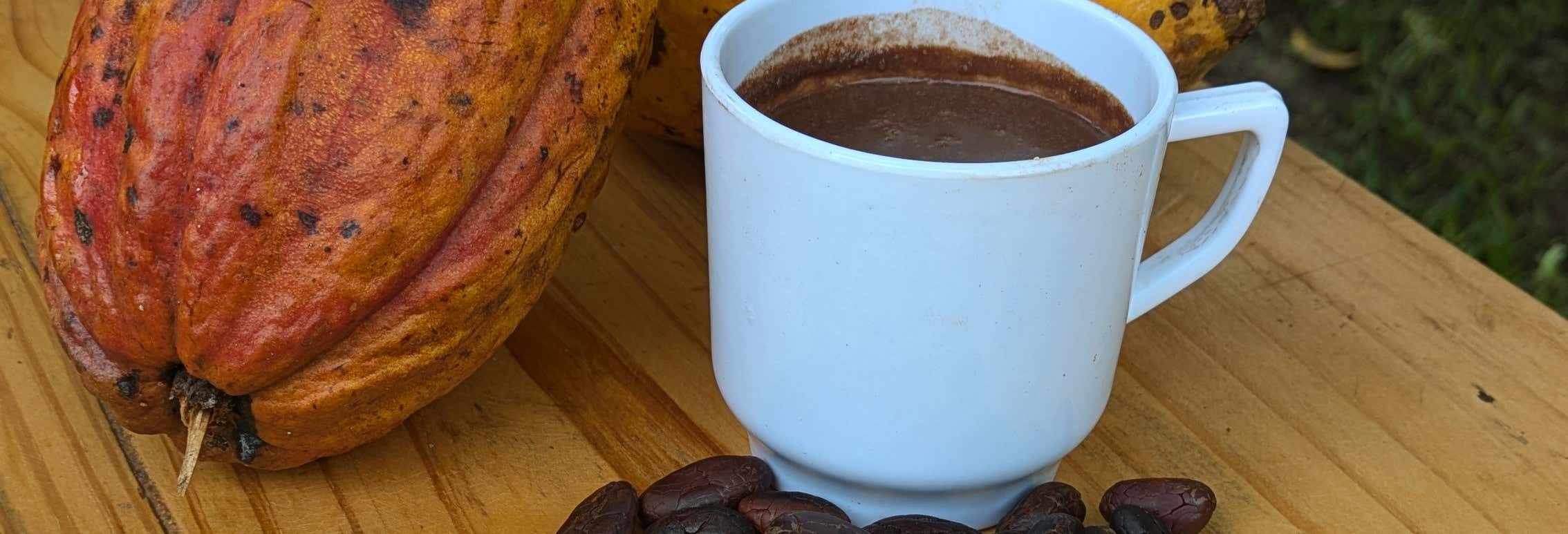 Laboratorio sul cacao nella Casa Jocolate Minca