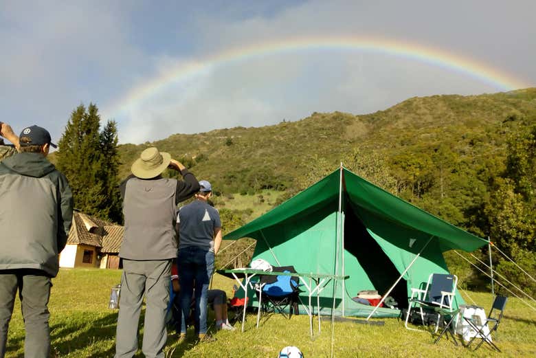 Imagen 4