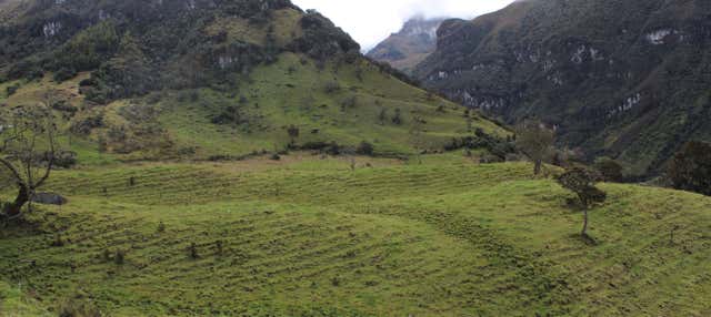 Itinerario privato di trekking a El Bosque + Terme di Canaán