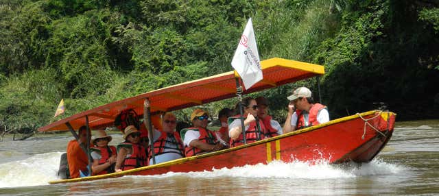 Paseo en barco por el río Magdalena + Degustación de Achira