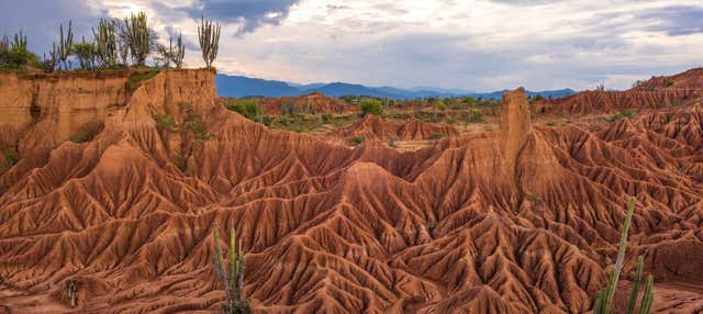 Escursione al deserto del Tatacoa