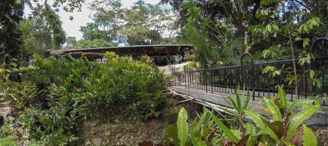 Escursione al complesso Termales de Rivera