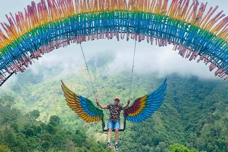 The swing - The swing